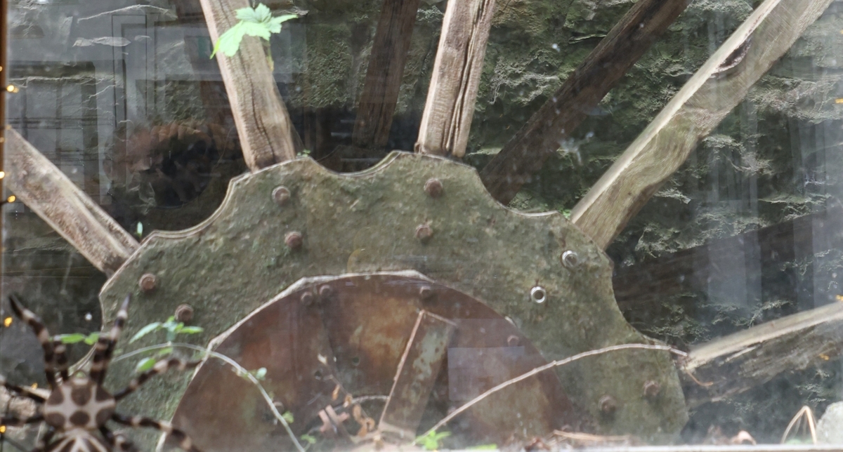 Gleaston Water Mill - John Pinches